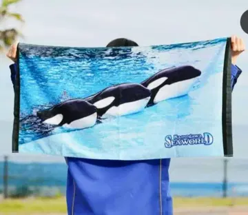 카모가와 씨월드 55주년 타월