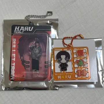 초특급 하루 REAL? 블리스터 플라스틱 모델풍 키링