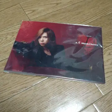 [ 미개봉 ] Acid Black Cherry 엽서 세트
