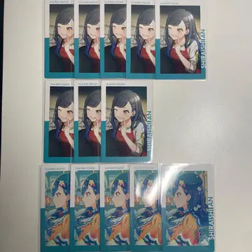 프로세카 에피카 시라이시 안 23c