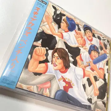 [ 오비 포함 레어 ] 스킵 카우스 / 벤치 멤버