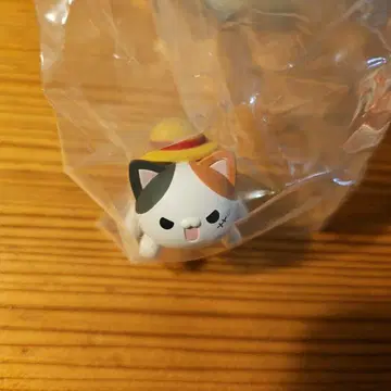 원피스 몽키 D 루피 냥피스냥!