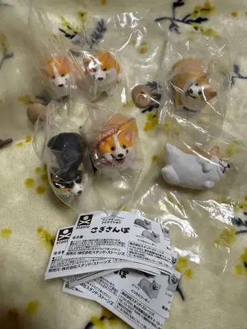 애니멀 트랙션 코기 산책 코기 가챠가챠 코기