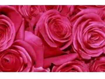 Miki-3님 레이스 절개 플레어 원피스