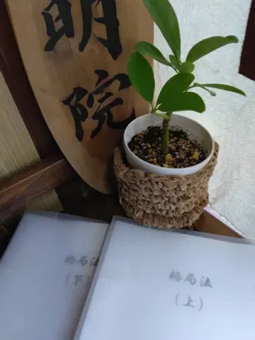 산명학 교재 [격국법] 상하권