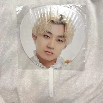 초특급 알로하 에비라이 2024 부채