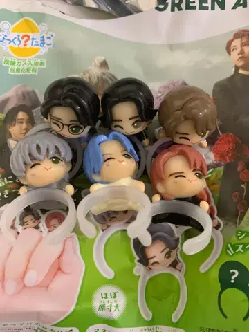 미세스 그린애플 빗쿠라타마고 컴플리트 세트