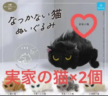 길들여지지 않는 고양이 봉제 인형 본가 고양이 2개