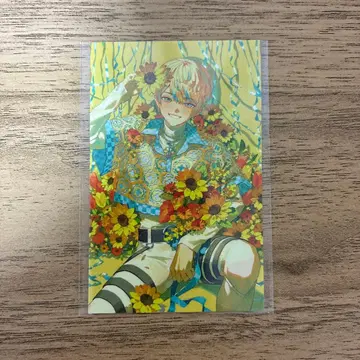 니지산지 히바치 마나 노스탤지어 컬렉션