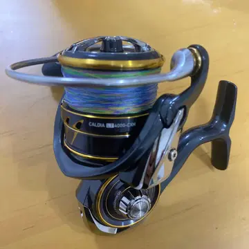 DAIWA CALDIA LT 4000-cxh