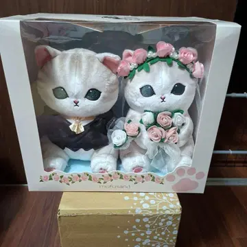 모프 샌드 웨딩