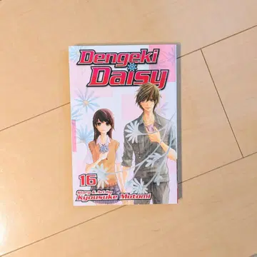 전격 데이지 Dengeki Daisy 16권 영문판