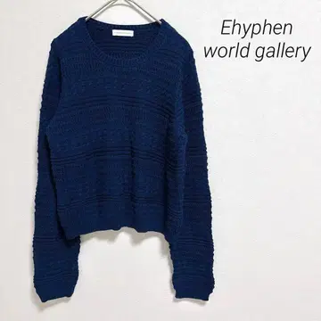 하이픈월드 갤러리 니트 크롭 니트 시스루 편직 심플 F