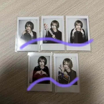 Royz  폴라로이드 세트