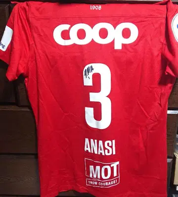 나타샤 아나시 여자 축구 실착 유니폼 친필 사인