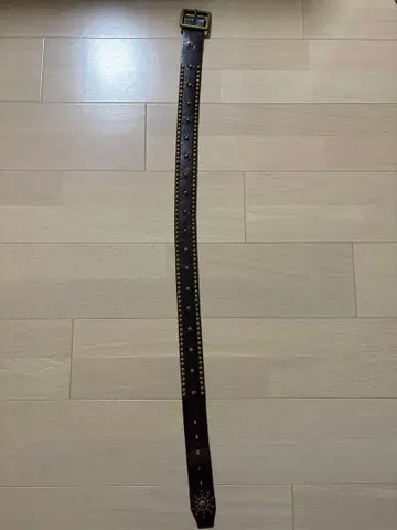 HTC Zip Stevenson 다크 브라운 가죽 스터드 벨트