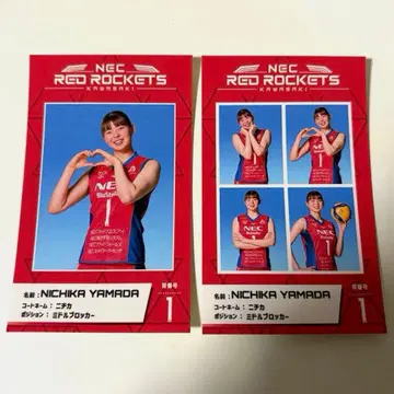 NEC 레드 로케츠 가와사키 야마다 니치카 증명사진풍 스티커 세트