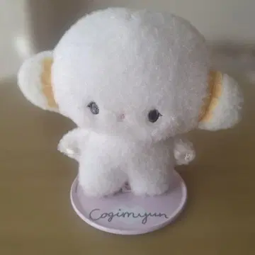 코기뮨 피타토 프렌즈