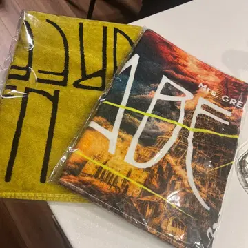 바벨 타월 2개 SET 미세스 BABEL