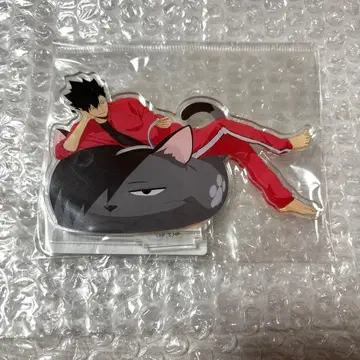 하이큐 새로 그린 아크릴 스탠드 쿠로오 테츠로