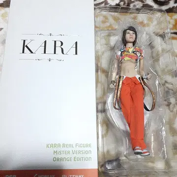 KARA 미스터 리얼 피규어 승연