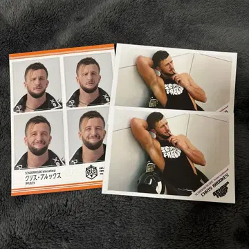 DDT 크리스 증명사진풍 씰 LINE 멤버십 브로마이드 2장 세트