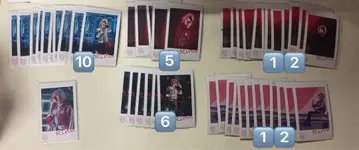 리이누 군 폴라로이드풍 브로마이드