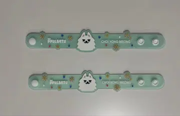 TXT PPULBATU 수빈 용몽 러버 밴드 세트