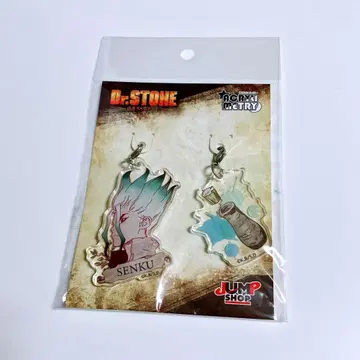 Dr.STONE 아크릴메트리 이시가미 센쿠