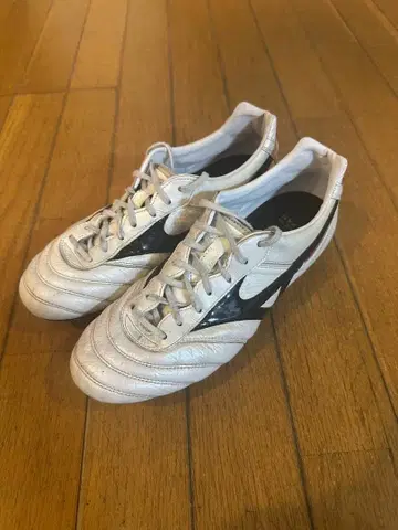 모렐리아2 Japan 26cm