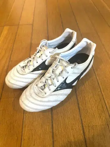 모렐리아2 Japan 26cm