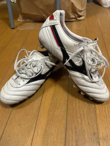 모렐리아2 Japan 26cm