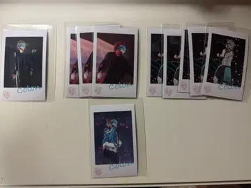 코론 군 폴라로이드풍 브로마이드