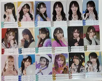 타니자키 사야 노이미 브로마이드 컴프