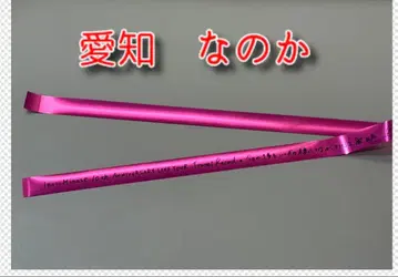 미나세 이노리 은색 테이프 10주년 투어 아이치 공연