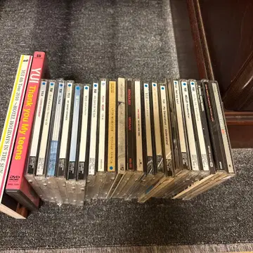 YUI 외 가수 CD 및 DVD