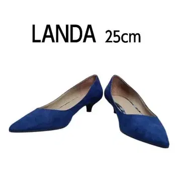 LANDA 스웨이드 펌프스 25cm 로얄 블루