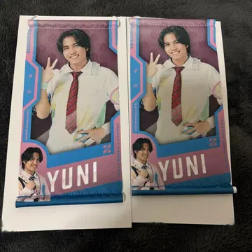 DDT 미니 태피스트리 꿈의 무지개 2개 세트