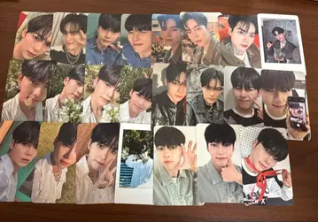 성한빈 트레이딩 카드