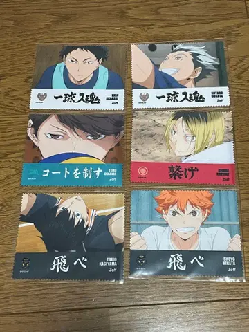 하이큐 zoff 콜라보 트레이닝 안경닦이