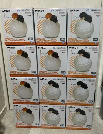 하이큐 룸 라이트 카게야마 히나타 묶음 판매 12점