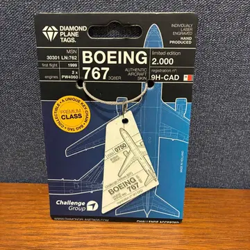 Aircraft Skin 키체인 Challenge B767F