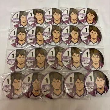 하이큐 우시지마 난자타운 캔뱃지 20개