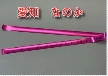 미나세 이노리 은색 테이프 10주년 투어 아이치 공연