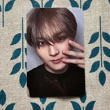 ENHYPEN 정원 M카 DESIRE : UNLEASH 트레이딩 카드