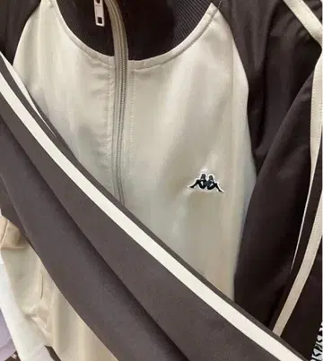Kappa 베이지/브라운 저지 M