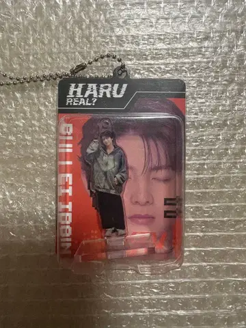 초특급 REAL? 랜덤 블리스터 키링 하루