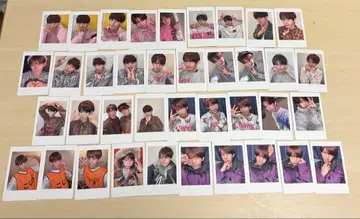 나나 크로니클 코무기 하피카 세트