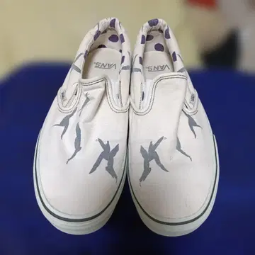 VANS x Loomstate 슬립온