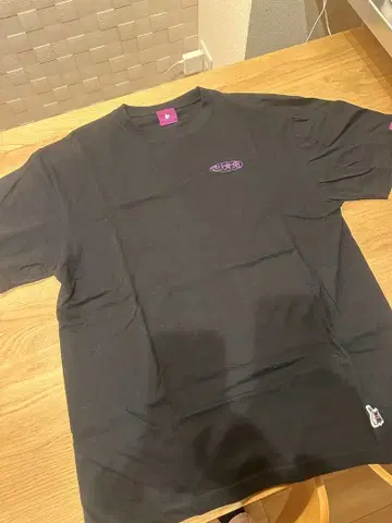 FR2 교토 기온 한정판 우키요에풍 아트